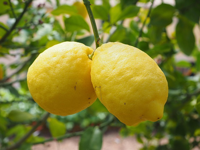 lemon